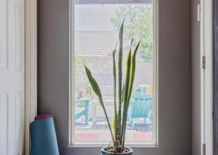 Holiday home Escape Designed For Longer Gilbert